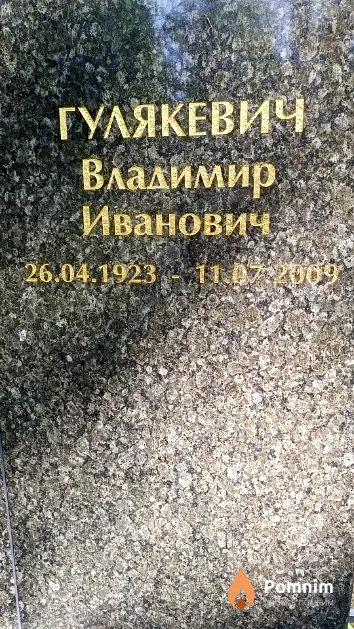 Гулякевич Владимир Иванович