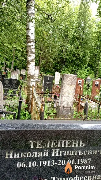 Телепень Николай Игнатьевич