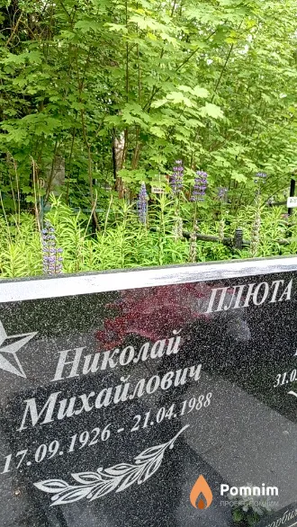Плюта Николай Михайлович