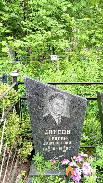 Анисов Сергей Григорьевич