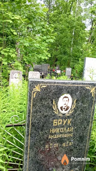 Брук Николай Андреевич