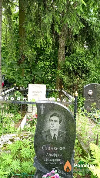 Станкевич Альфред Цезаревич