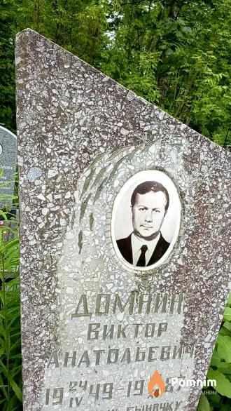 Домнин Виктор Анатольевич