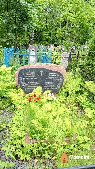 Сучкова Елена Николаевна