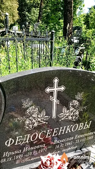 Феодосеенко Ирина Ионовна