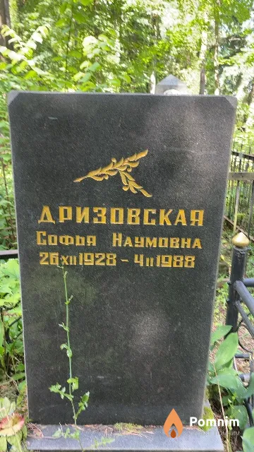 Дризовская Софья Наумовна