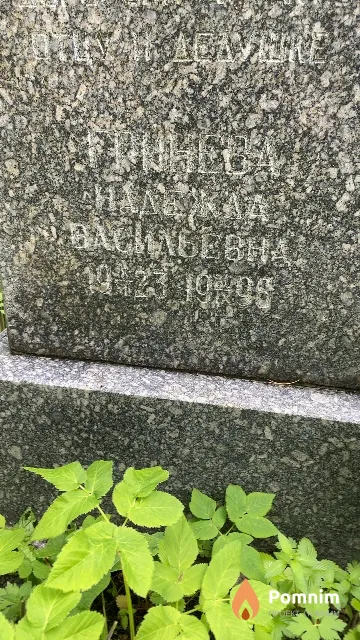 Гринева Надежда Васильевна