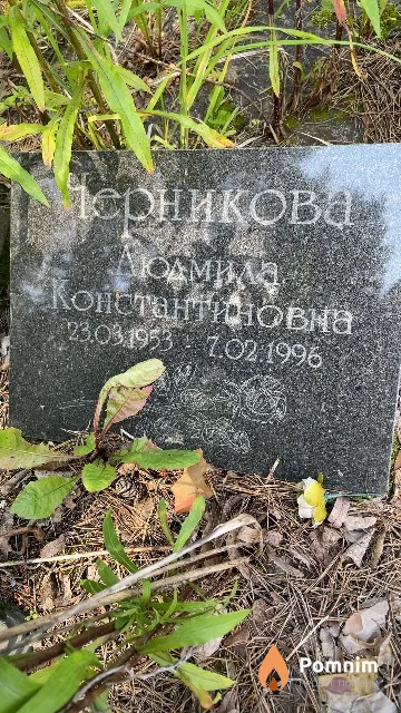 Черникова Людмила Константиновна
