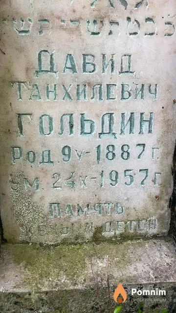 Гольдин Давид Танхилевич