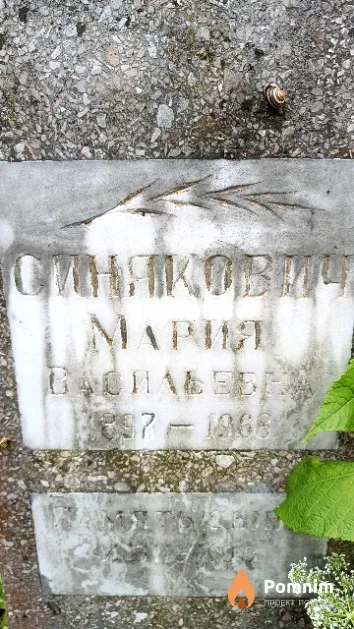 Синякович Мария Васильевна