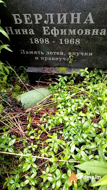 Берлина Нина Ефимовна