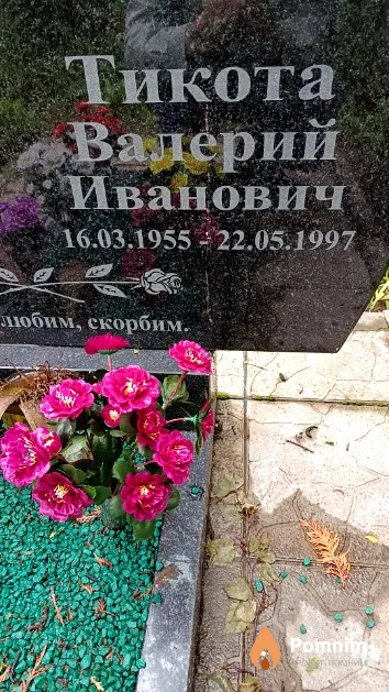 Тикота Валерий Иванович