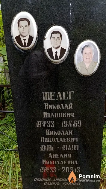 Шелег Анелия Николаевна