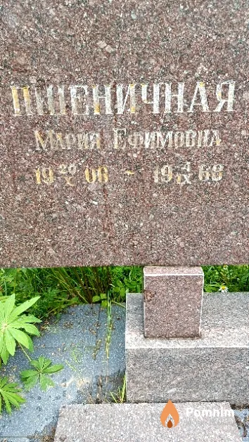 Пшеничная Мария Ефимовна