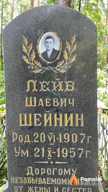 Шейнин Лейб Шаевич