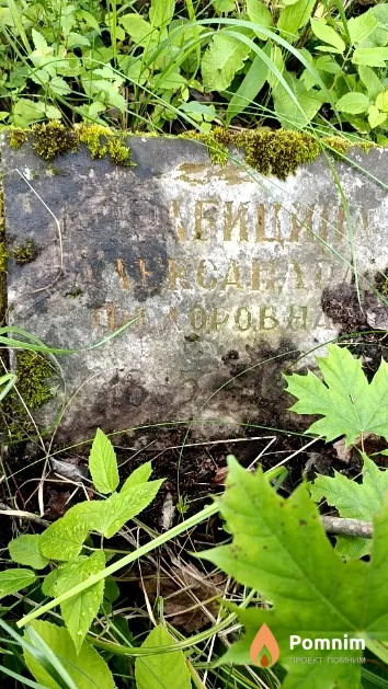 Корабицина Александра Федоровна