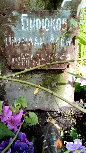 Бирюков Николай Алек.