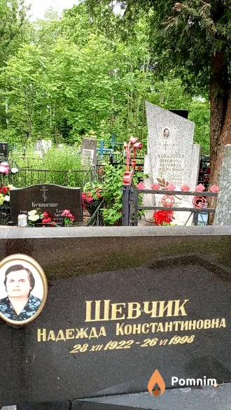 Шевчик Надежда Константиновна