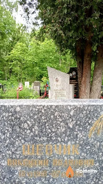 Шевчик Викентий Иванович