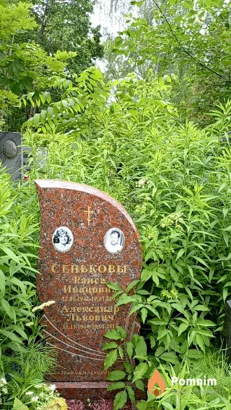 Сеньков Александр Львович