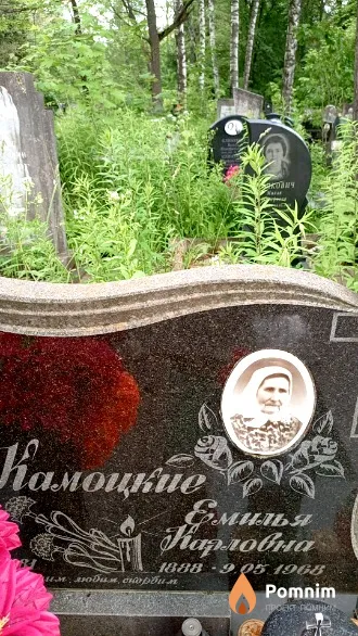 Камоцкая Емилья Карловна