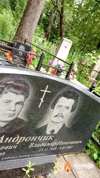 Андрончик Владимир Николаевич