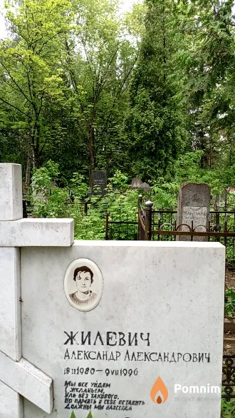 Жилевич Александр Александрович