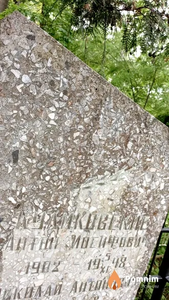 Куликовский Антон Иосифович