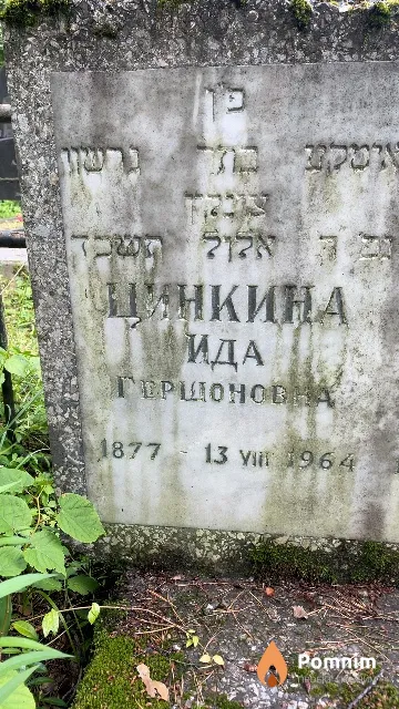 Цинкина Ида Гершоновна