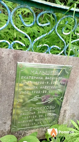 Пшенников Алексей Васильевич