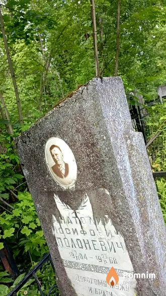 Полоневич Анатолий Иосифович