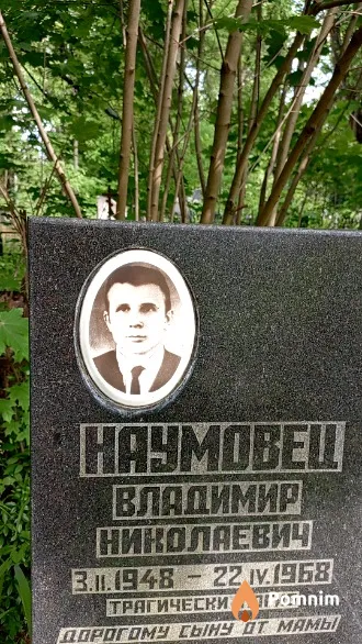 Наумовец Владимир Николаевич