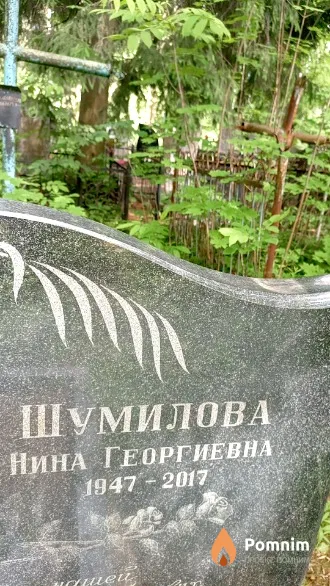 Шумилова Нина Георгиевна