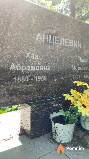 Анцелевич Хая Абрамовна