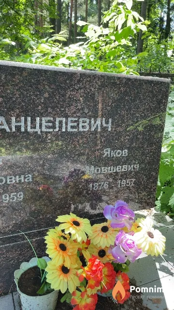 Анцелевич Яков Мовшевич