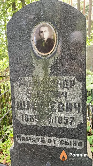 Шмулевич Александр Эльевич