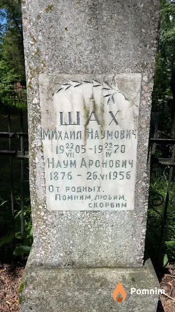 Шах Наум Аронович