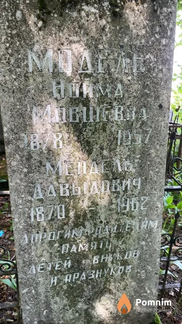 Модель Мендель Давыдович