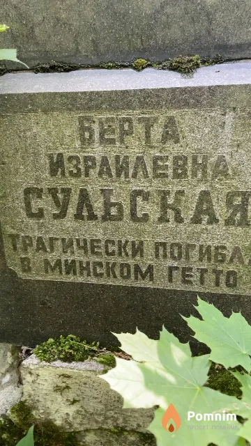 Сульская Берта Израилевна