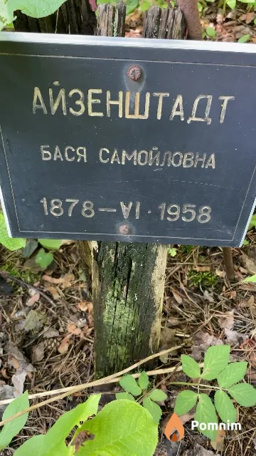Айзенштадт Бася Самойловна