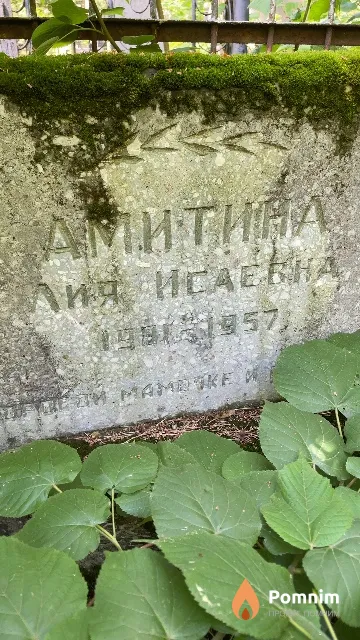 Амитина Лия Исаевна