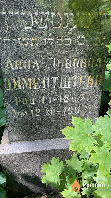 Дименштейн Анна Львовна