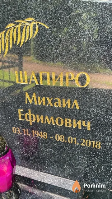 Шапиро Михаил Ефимович