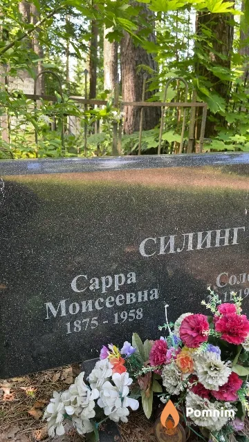 Силинг Cappa Моисеевна