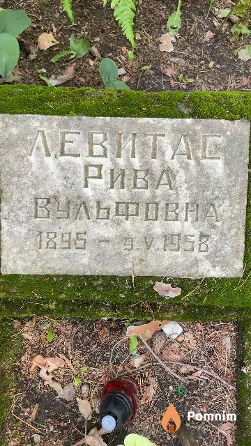 Левитас Рива Вульфовна