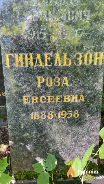 Гиндельзон Роза Eвсеевна