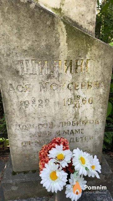 Шилинг Ася Моисеевна