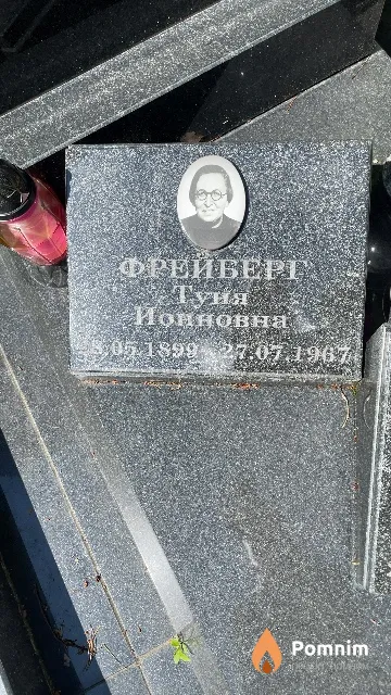 Фрейберг Туня Инновна