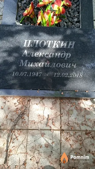 Плоткин Александр Михайлович