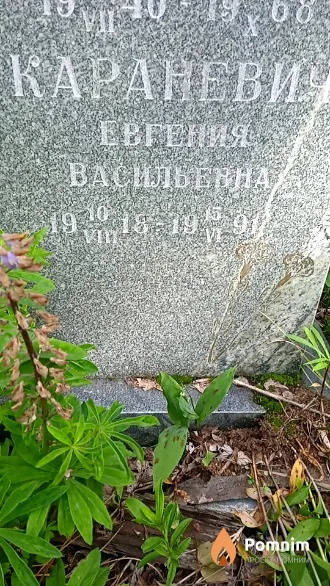 Караневич Евгения Васильевна